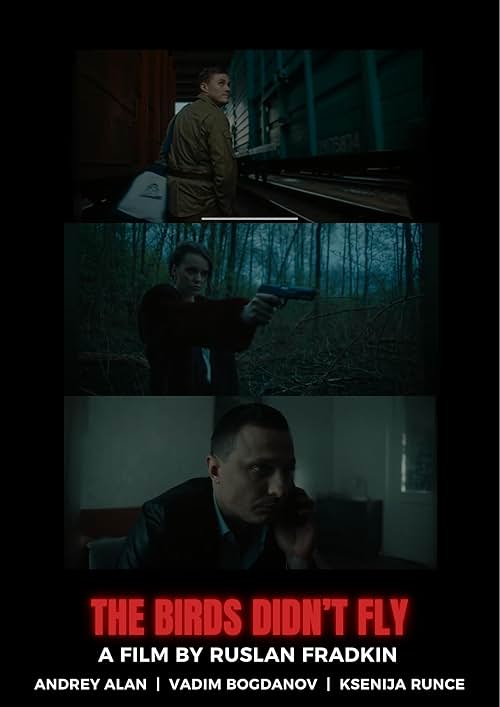 The Birds Didn't Fly poster